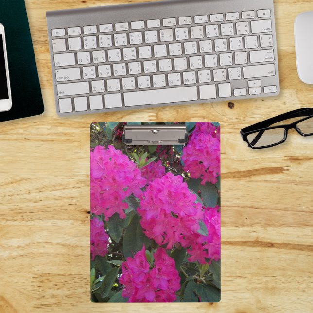 Carpeta De Pinza Rododendros rosas florecen (In Situ)