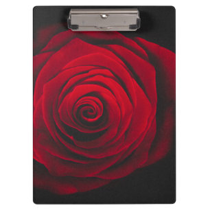 Carpeta De Pinza Rojo rosa sobre el efecto vintage de fondo negro