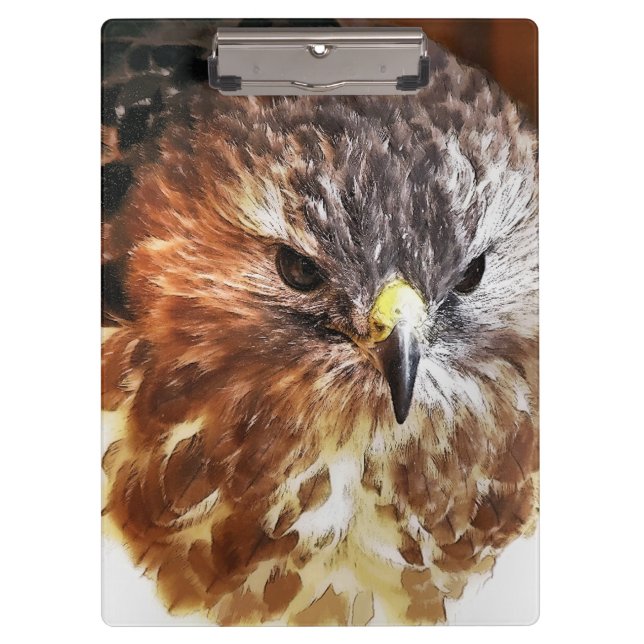 CARPETA DE PINZA ROJO TAILED HAWK (Anverso)