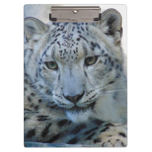 Carpeta De Pinza Rompecabezas del leopardo de la nieve