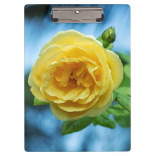 Carpeta De Pinza Rosa amarilla