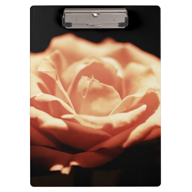 Carpeta De Pinza Rosa de cosecha (Anverso)