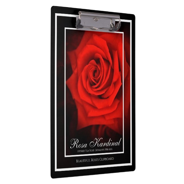 Carpeta De Pinza Rosa Kardinal (Derecha)