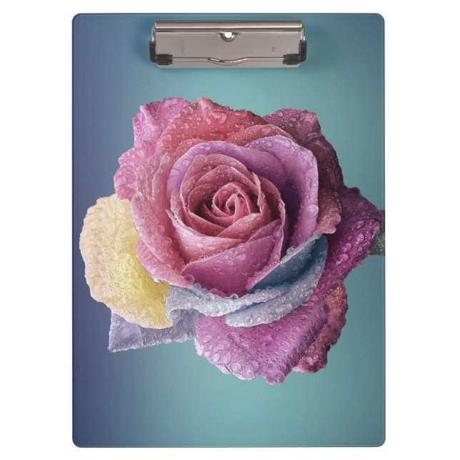 Carpeta De Pinza Rosa multicolor (Anverso)