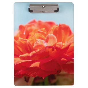 Carpeta De Pinza rosa naranja