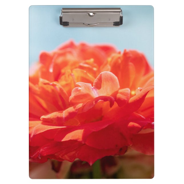 Carpeta De Pinza rosa naranja (Anverso)