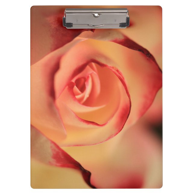Carpeta De Pinza Rosa Naranja romántico (Anverso)