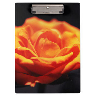 Carpeta De Pinza rosa naranja sobre negro
