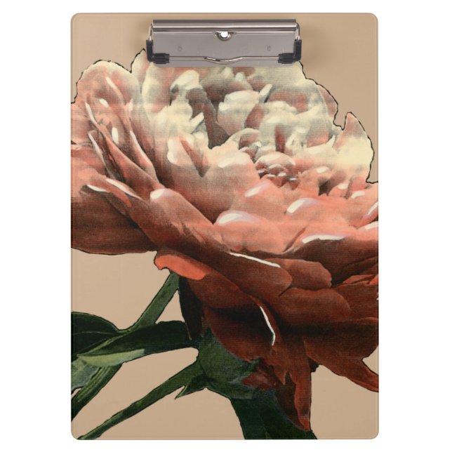 Carpeta De Pinza Rosa roja de rubí con acentos blancos (Anverso)