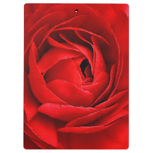 CARPETA DE PINZA ROSA ROJO