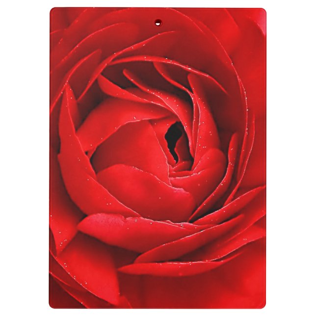 CARPETA DE PINZA ROSA ROJO (Reverso)