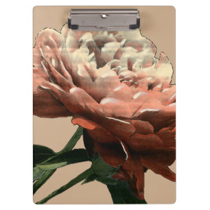 Carpeta De Pinza Rosa rojo de rubíes con los acentos blancos