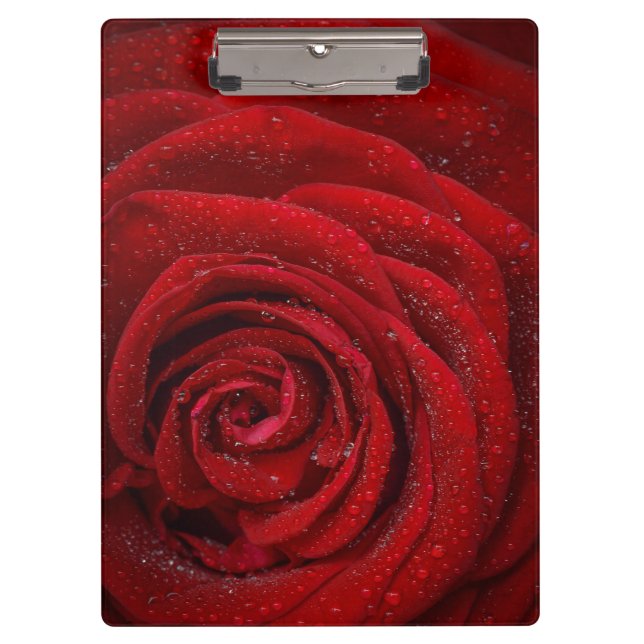 Carpeta De Pinza Rosa Rojo Romántico (Anverso)