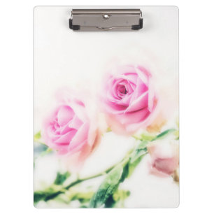Carpeta De Pinza Rosa rosa