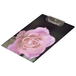 Carpeta De Pinza Rosa rosa magnífico