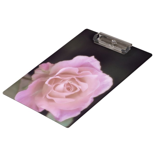 Carpeta De Pinza Rosa rosa magnífico (Angular)