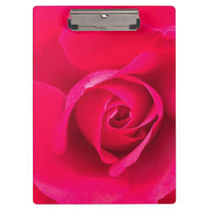Carpeta De Pinza Rosa rosa rojo romántico v2