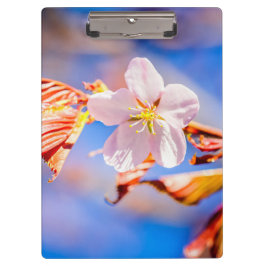 Carpeta De Pinza Rosa Sakura Flower Blue Sky