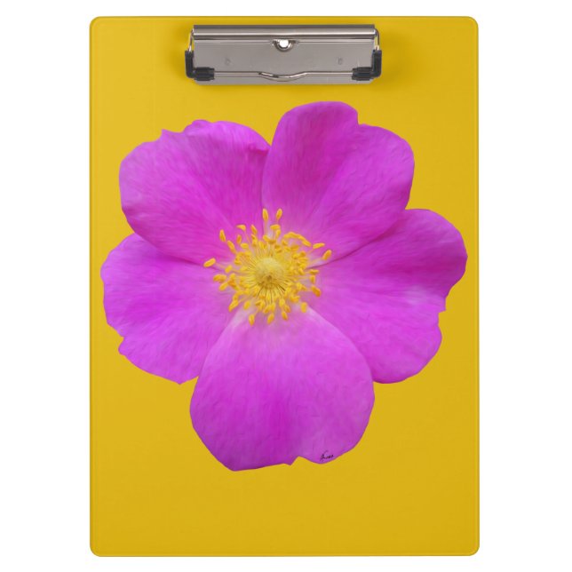 Carpeta De Pinza Rosa salvaje 2 (Anverso)