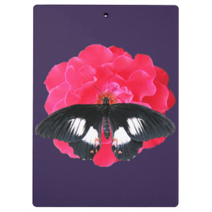 Carpeta De Pinza Rosa y cola de inflexión
