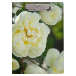 Carpeta De Pinza Rosas blancas para positivo