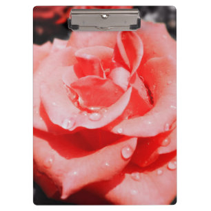 Carpeta De Pinza Rosas de época