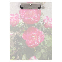 Carpeta De Pinza Rosas de jardín I
