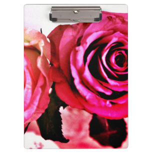 Carpeta De Pinza Rosas en auge