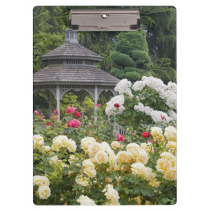 Carpeta De Pinza Rosas en flor y jardín de rosas Gazebo en el