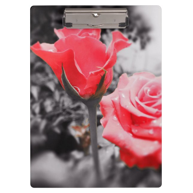 Carpeta De Pinza Rosas rojas vintage (Anverso)
