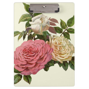 Carpeta De Pinza Rosas Victorianas de Crema y Rosa