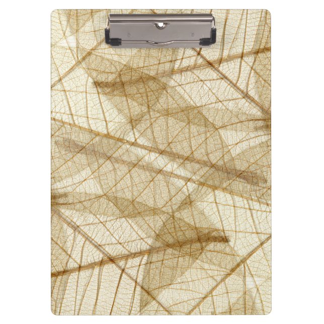Carpeta De Pinza Rustic Sheer Cream Lace (Anverso)