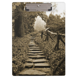 Carpeta De Pinza Ruta a la luz