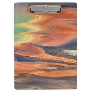 Carpeta De Pinza Salida prismática magnífica de la primavera