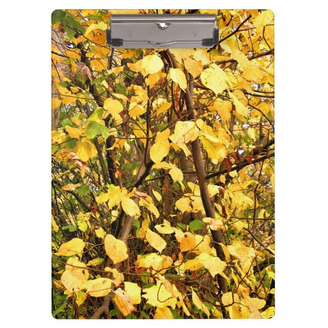 CARPETA DE PINZA SALIDAS DE OTOÑO AMARILLO (Anverso)