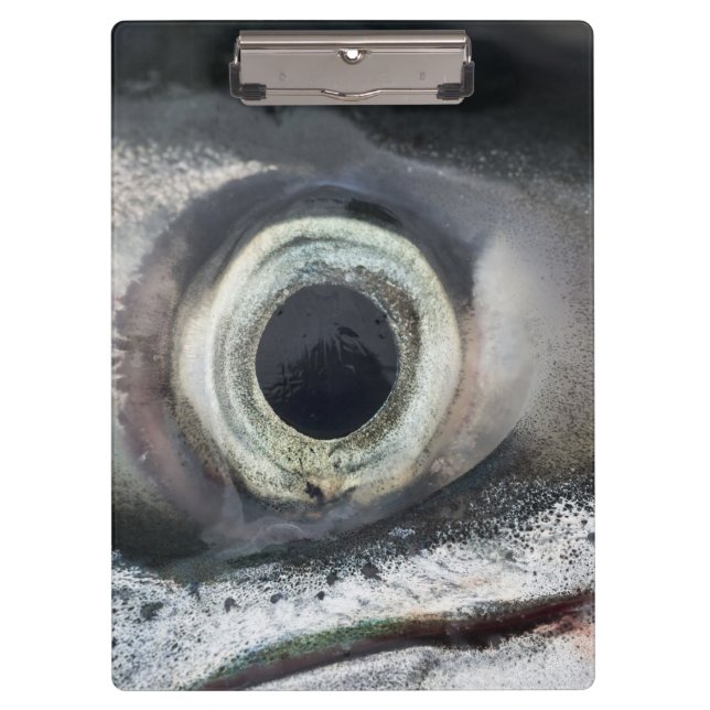 Carpeta De Pinza Salmon Eye (Anverso)