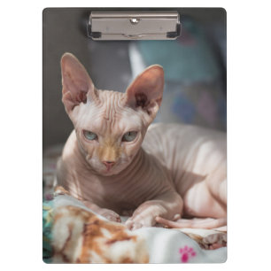 Carpeta De Pinza Salto de gato lindo sin pieles