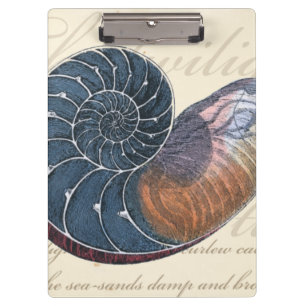 Carpeta De Pinza Seashell romántico