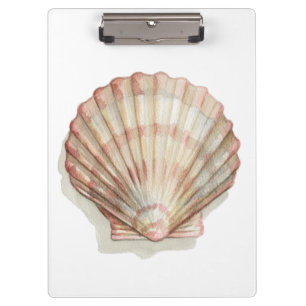 Carpeta De Pinza Seashell rosado y poner crema