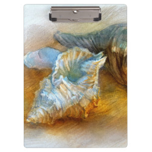 Carpeta De Pinza Seashells en la playa