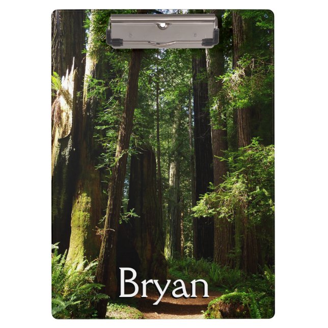 Carpeta De Pinza Secuoyas y ferris en el Parque Nacional Redwood (Anverso)