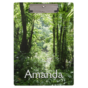 Carpeta De Pinza Selva tropical II dominicana de lluvia verde tropi