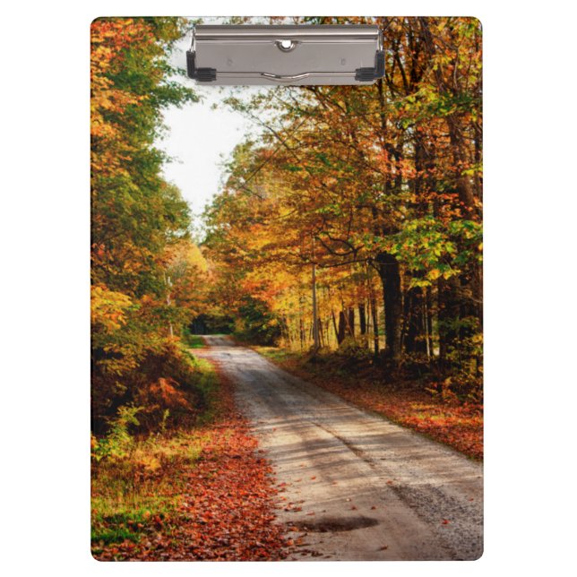 Carpeta De Pinza Sendero de madera con follaje de otoño (Anverso)