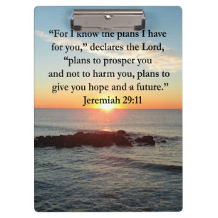 CARPETA DE PINZA SERENE JEREMIAH 29:11 SUNRISE