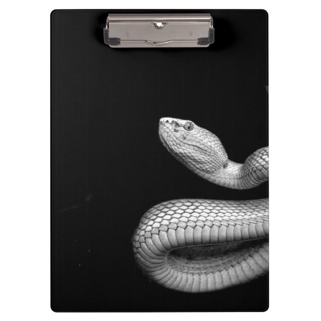 Carpeta De Pinza Serpiente (Anverso)