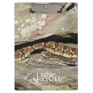 Carpeta De Pinza Serpiente de cascabel en el Parque Nacional Shenan