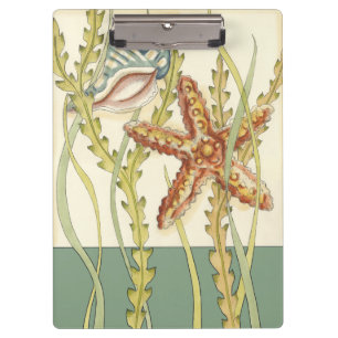 Carpeta De Pinza Shell multicolor va de fiesta