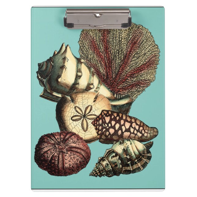 Carpeta De Pinza Shell turquesa y colección de corales rojos (Anverso)