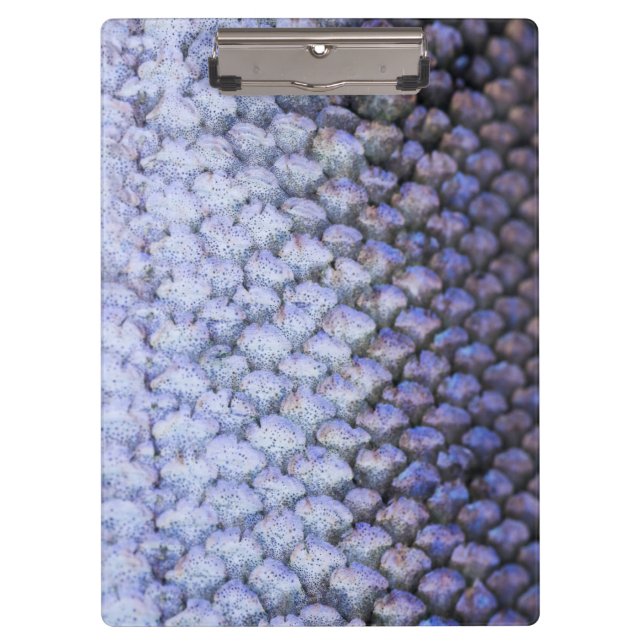 Carpeta De Pinza Shimmering Salmon (Anverso)