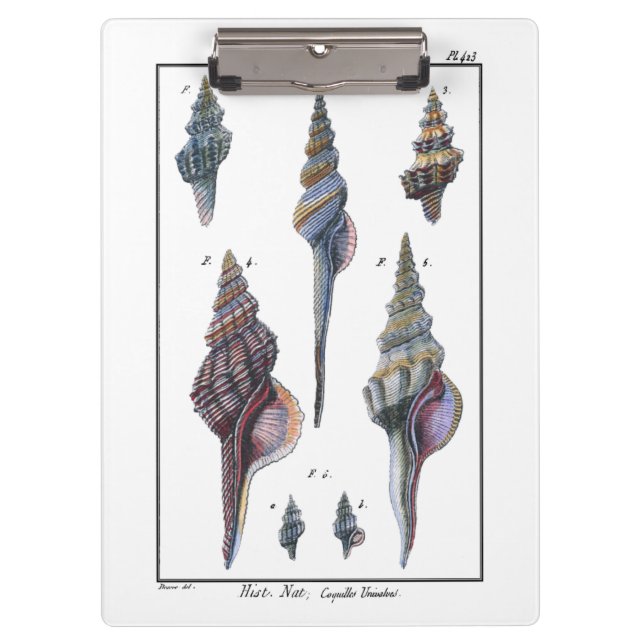 Carpeta De Pinza Siete Agujas Coloridas (Anverso)